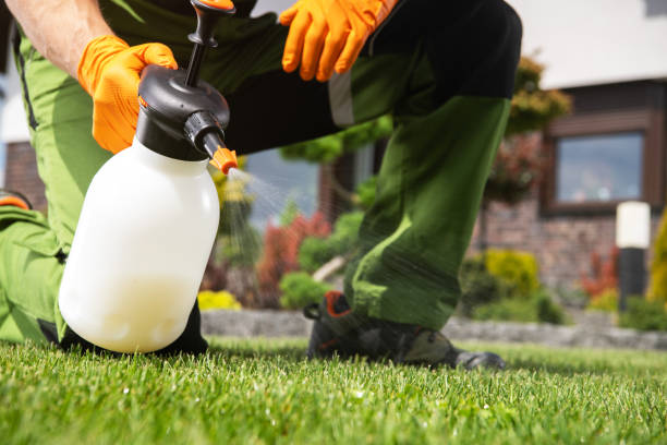 Best Affordable Pest Control Services  in Chimayo, NM